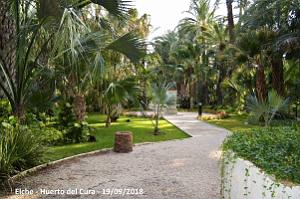 19 ELCHE HUERTO DEL CURA (126)